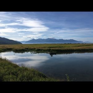 Meet your Posher, Dee